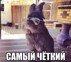 15d0c08612303859fa6168daa06c6786