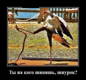 df05d712513c04dbf4d9f28160ff9f9e